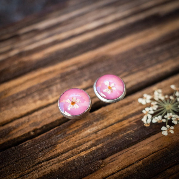 Ohrstecker mit echten Blüten der Wilden Möhre, rosa, 8mm