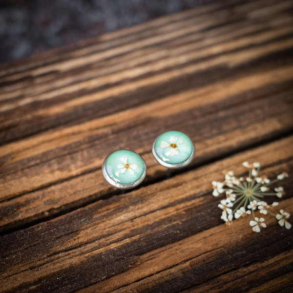 Ohrstecker mit echten Blüten der Wilden Möhre, grün, 8mm
